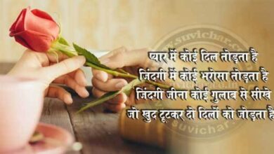 zindagi jeena koi gulab se seekhe
