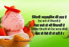 zindagi ice cream ki tarah hai thought in Hindi